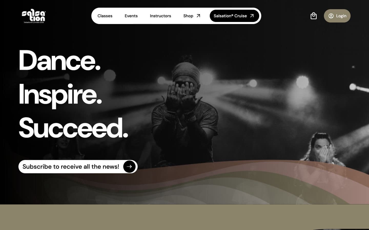 Salsation Fitness project visual