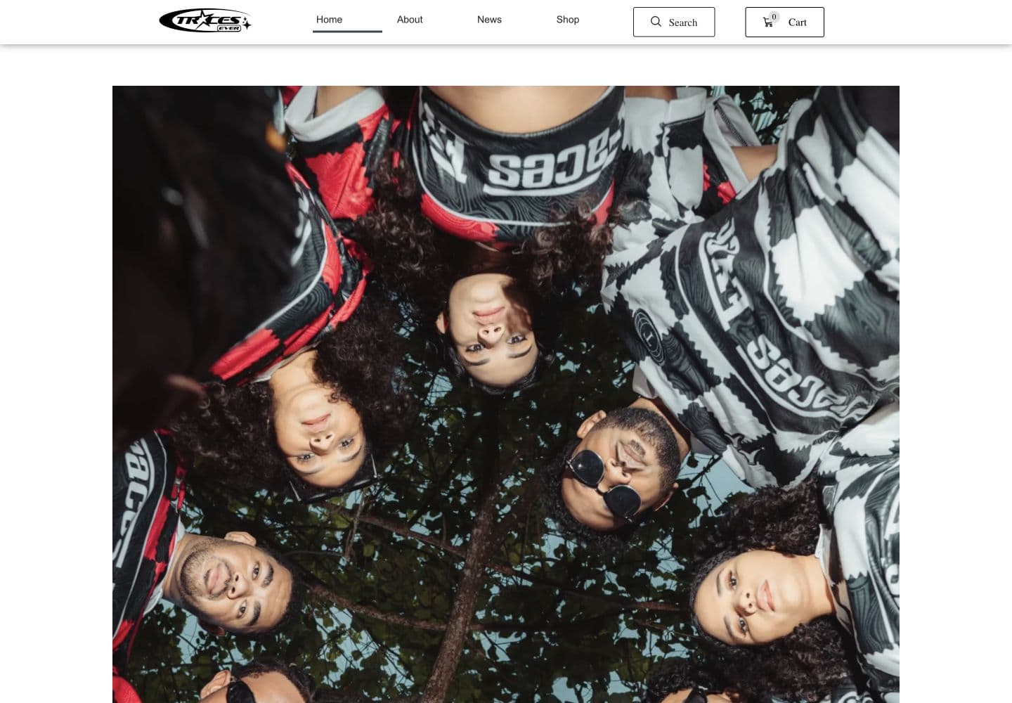 Traces Ever website homepage visual proof